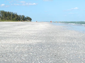 algiers beach sanibel photo.jpg