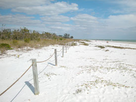 lighthouse beach sanibel photo.jpg